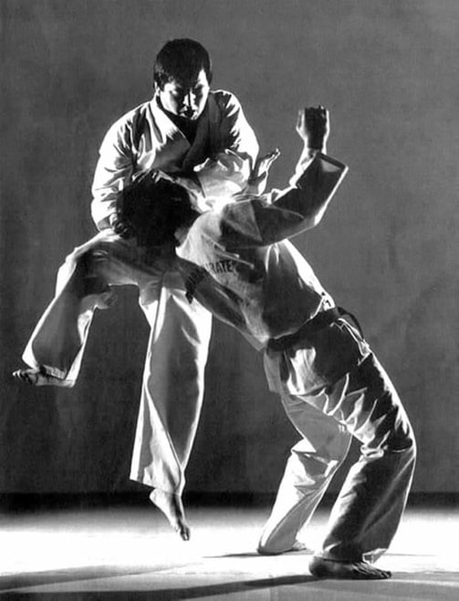 Kanchō Hideyuki Ashihara — sabaki tekniği
